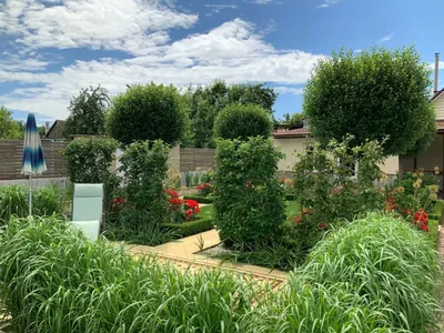 Озеленение | Garden planning, Small backyard landscaping, Backyard garden  design