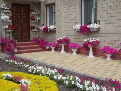 Ландшафтный дизайн клумбы и цветники перед домом (64 фото) - красивые  картинки и HD фото