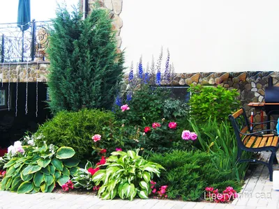 Ландшафтный дизайн участка перед домом . . . . Источник: evrogazon .ru |  Идеи озеленения, Дизайн озеленение, Дизайн цветочного сада