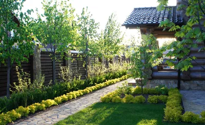 Ландшафтный дизайн садового участка 6 соток своими руками: фото и советы  для начинающих садоводов | Садоводство и огородничество | Дзен
