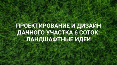 Пастораль или футуристический пейзаж. С чего начать выбор ландшафтного  дизайна для дачи?