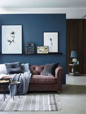 синяя стена за диваном | Brown and blue living room, Brown couch living  room, Brown living room