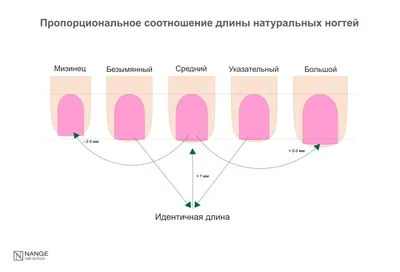 А вы сколько ходите со своим? 🤔 | Маникюр - дизайн ногтей | ВКонтакте