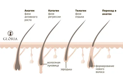 С какой длиной волос для шугаринга проводить процедуру