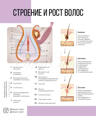 Шугаринг или воск — что выбрать? | Что лучше шугаринг или воск? | SugarMe