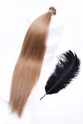 Светло-русые волосы Челка Длинные волосы, великолепный солнцезащитный крем,  коричневый, люди, волосы png | PNGWing
