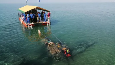 дно моря / смешные картинки и другие приколы: комиксы, гиф анимация, видео,  лучший интеллектуальный юмор.