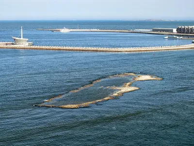 Обои рыбки на дне моря в зеркально чистой воде