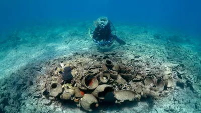 Обои на рабочий стол Подводный мир (на дне моря растут красивые растения и  кораллы, лежит морская звезда, проплывают стайки рыб и подпрыгивает морской  конек), обои для рабочего стола, скачать обои, обои бесплатно