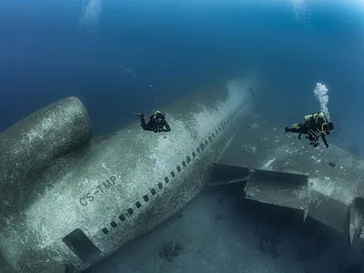 Фотообои на стену Скат на дне моря - Разное Море Реки Водопады Тропикал  бриз Подводный мир