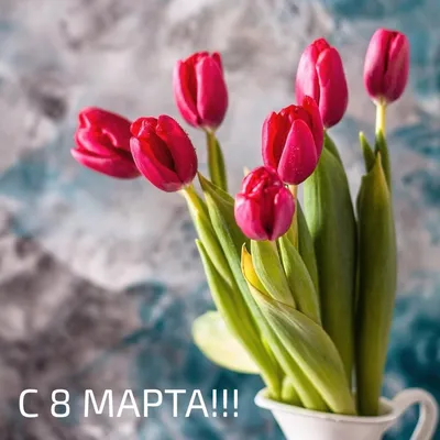 Доброе утро! 23 февраля и 8 марта мастерская не работает. В остальные дни  работаем по-прежнему: Будни с 1.. | ВКонтакте