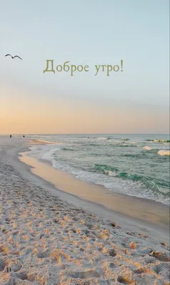 Доброе утро на море фото фото