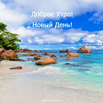 Утро радость. | Bau, Beach, Outdoor