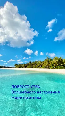 Картинки с добрым утром природа и море (66 фото) » Картинки и статусы про  окружающий мир вокруг