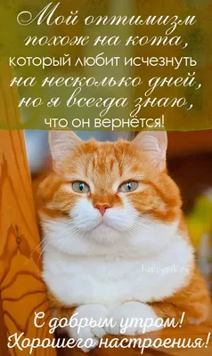 Смешная открытка \"Доброго утра субботы!\", с ёжиком • Аудио от Путина,  голосовые, музыкальные