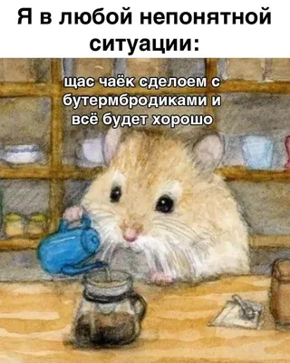 ПотрясающийвкусМилкис #доброеутро #юмор #шутки | TikTok