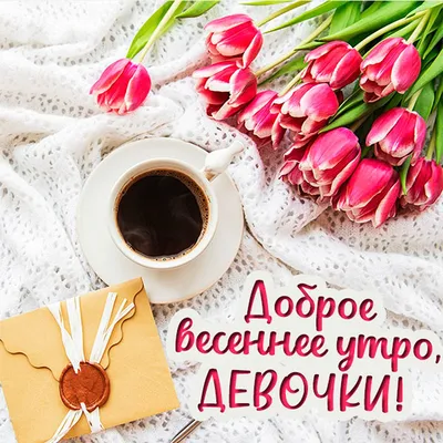 Доброе весеннее утро в Севастополе - Лента новостей Крыма