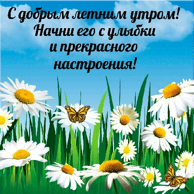 Всем доброго летнего утра!🌼☕️ | Instagram