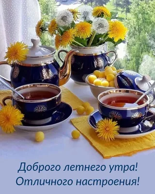 https://viewsnap.ru/145627-dobryi-den-priroda