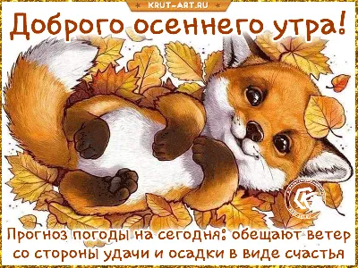 Красивая открытка «С добрым осенним утром и хорошим днём» • Аудио от  Путина, голосовые, музыкальные