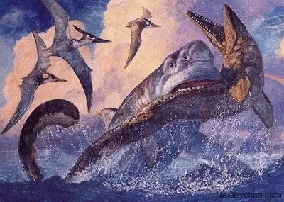 Доисторические Рыбы Ризодус — стоковые фотографии и другие картинки Море -  Море, Палеонтология, Альбула - iStock