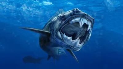 Rhizodus Был Очень Большой (от 6 До 7 Метров) Доисторический Рыба С  Длинными Зубами И Клыками - 3D Визуализации. Фотография, картинки,  изображения и сток-фотография без роялти. Image 34795698