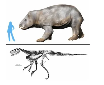 Рыбы Leedsichthys доисторические - 3D представляют Иллюстрация штока -  иллюстрации насчитывающей динозавр, иллюстрация: 75631500