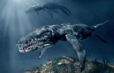 10 вымерших морских чудовищ, населявших наши доисторические моря – Zagge.ru