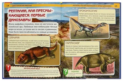 Динозавры Эласмозавр, Мозазавр, скелеты, окаменелости, крылатая ящерица.  Американские доисторические рептилии, юрские животные выгравированные  вручную вектор . Векторное изображение ©ArthurBalitskiy 182963658