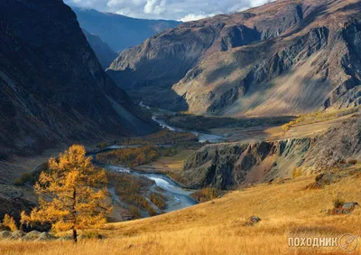Долина реки Чулышман — Фото №346293