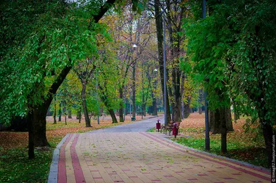 Курорт Нальчик, санаторий, просп. Шогенцукова, 5А, микрорайон Долинск,  Нальчик — Яндекс Карты