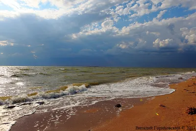 Азовское море, станица Должанская, коса Долгая.