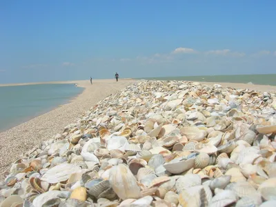 Коса Долгая. Должанка.Азовское море. ОТДЫХ. Должанская.