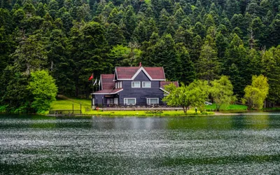 Дом на берегу озера, Санкт-Петербург (фото)