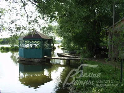 Названа цена аренды самого дешевого и дорогого дома у воды в Подмосковье ::  Загород :: РБК Недвижимость