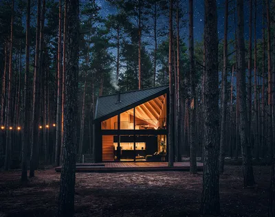 Эксперты рассказали, когда можно построить жилой дом в лесу - Российская  газета