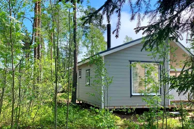 Уютный домик в лесу (53 фото)
