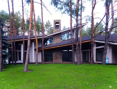Дом в сосновом лесу фото фото