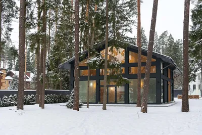 Вилла в сосновом лесу | Дизайн экстерьера дома, Домашняя мода, Современный  экстерьер