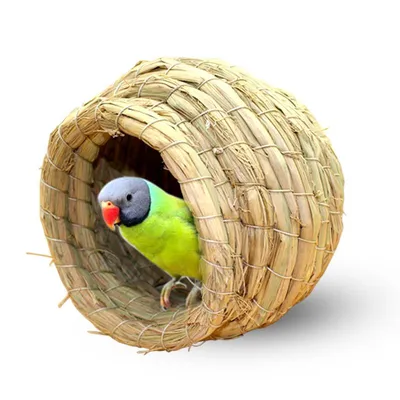 Гнездо для попугаев и птиц/Гнездо натуральное диаметр 12см/Гамак для  попугаев/Гамак для птиц - купить с доставкой по выгодным ценам в  интернет-магазине OZON (310384830)