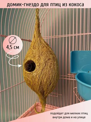 Домик для попугаев и грызунов из кокосового волокна Шурум-Бурум гнездо для  птиц в клетку, 38x12см - купить с доставкой по выгодным ценам в  интернет-магазине OZON (180136027)