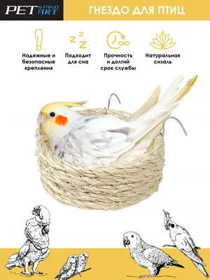 Гнездо сизалевое \"Лукошко\" для попугаев PetStandArt, Размер 12х4,5см.  Материал: Сизаль