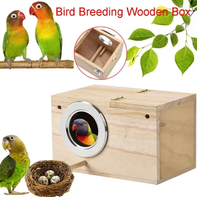 Купить Коробка для попугаев, птичий домик, деревянный ящик для разведения  неразлучников, попугаев, спариваний | Joom