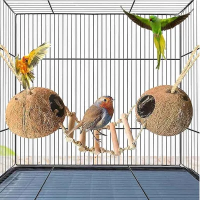 Подвесной птичий домик с лестницей, гнездо для разведения попугаев Клетка  для птиц, - купить с доставкой по выгодным ценам в интернет-магазине OZON  (1249818161)