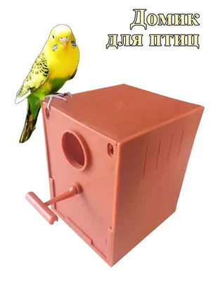 БРИЛЛИАНT Домик гнездо попугаев