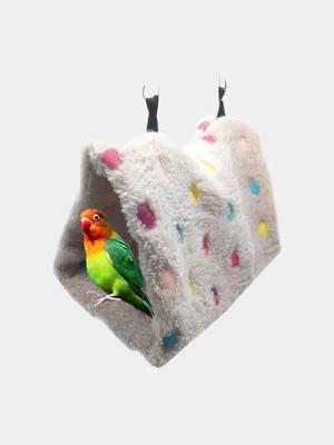 Мягкий домик для попугая (дом) купить по цене 453 ₽ в интернет-магазине  KazanExpress