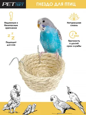Купить гнездо сизалевое Конус для попугаев PetStandArt, размер 9х5см,  сизаль, цены на Мегамаркет | Артикул: 600007190921
