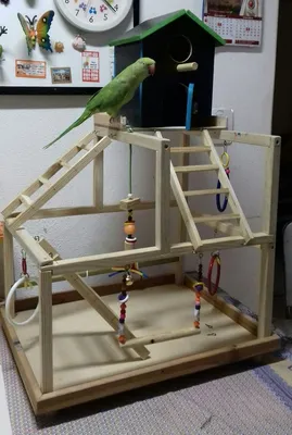Красивое гнездо для попугаев, треугольный птичий домик, товары для домашних  животных, гамак для птиц, домашний попугай – лучшие товары в  онлайн-магазине Джум Гик