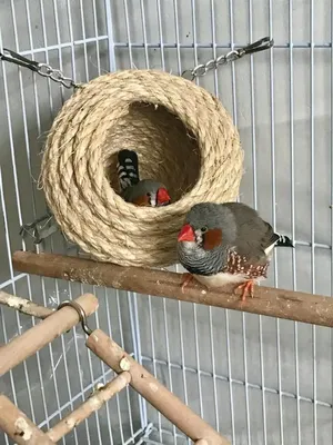 Zoobaloo Домик гнездо для попугаев и птиц, грызунов в клетку