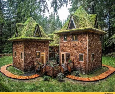 Уютный дом в лесу у озера - 64 фото